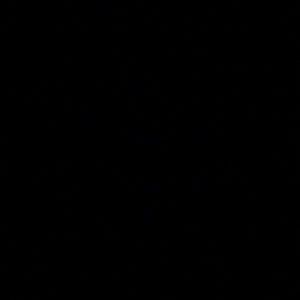 Meet your Posher, Alani